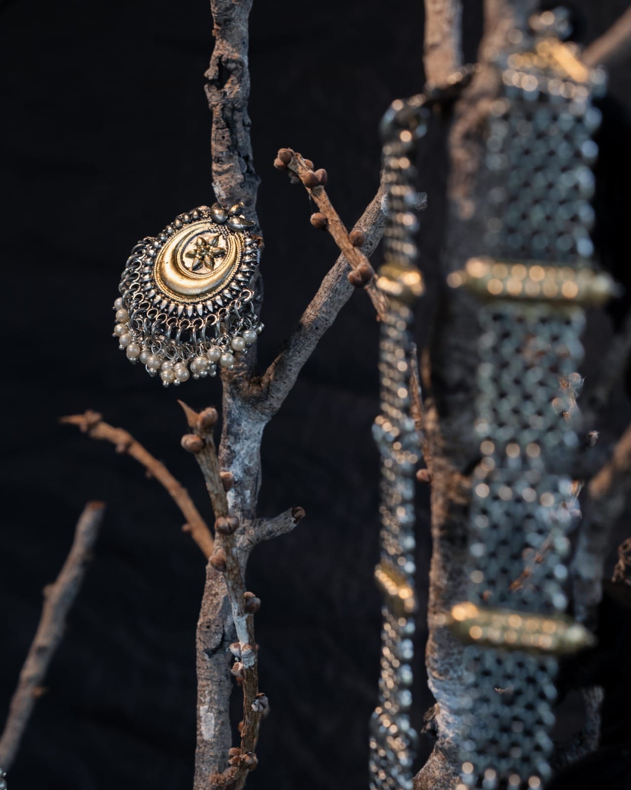 Baradari Mughlia Collection